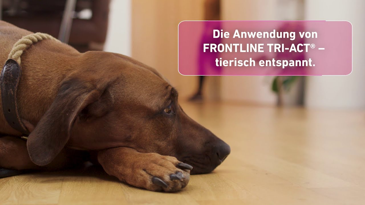 frontline tri-act ogni quanto va messo