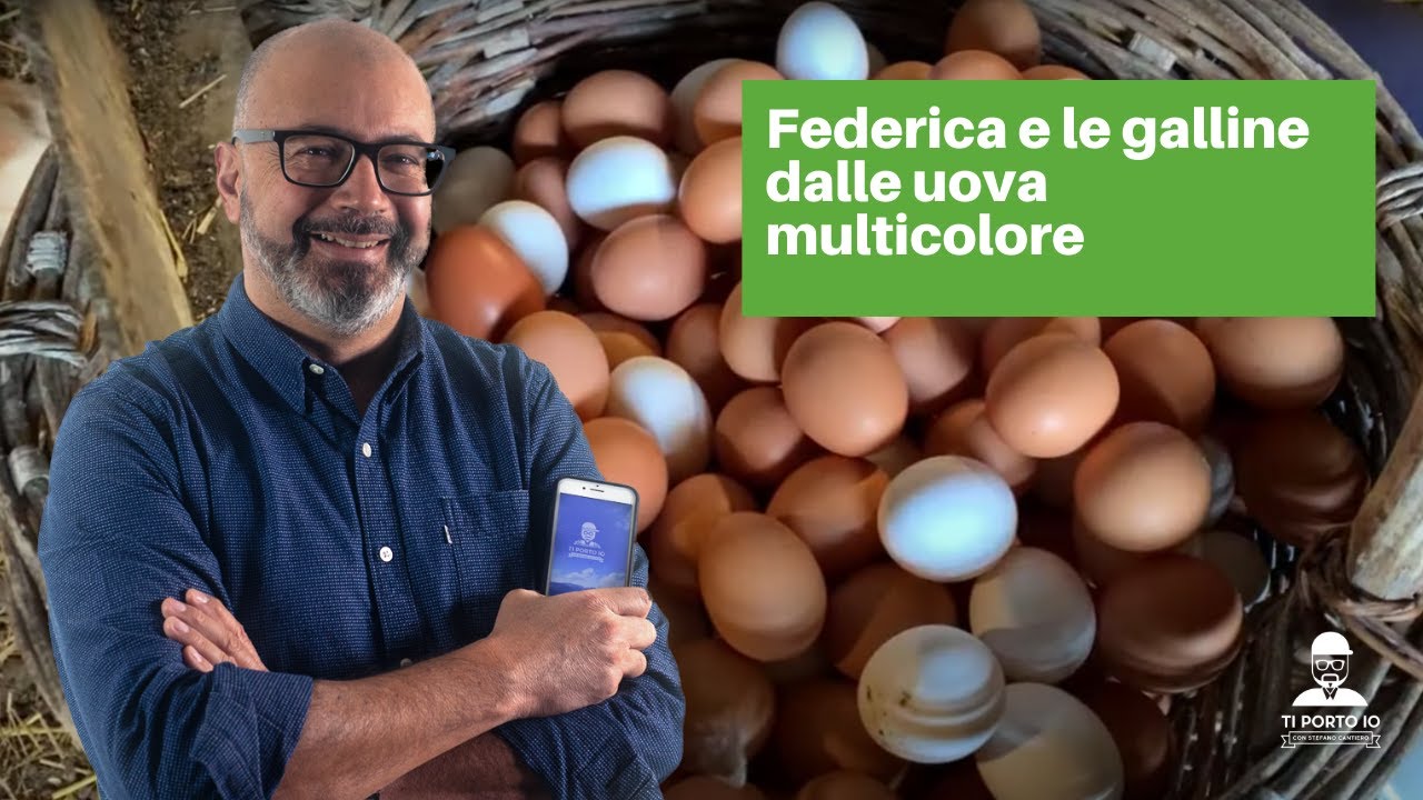 galline che fanno le uova colorate
