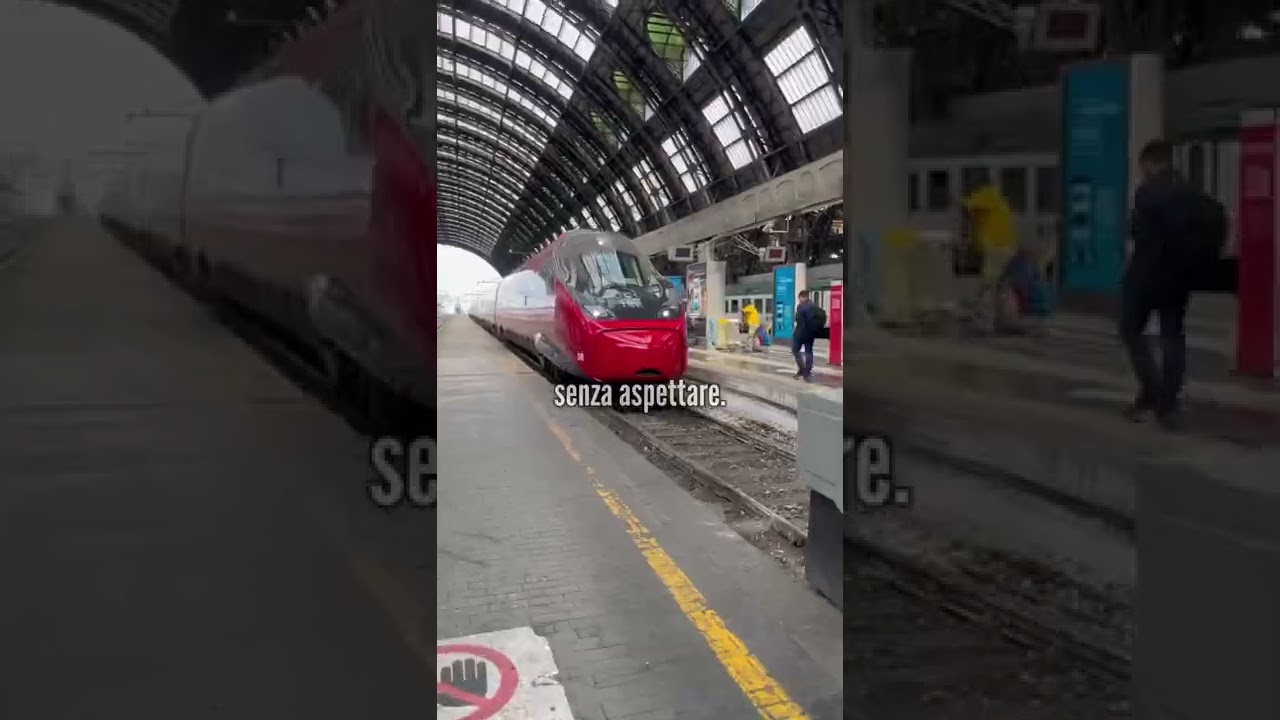 gattini in regalo firenze da privati