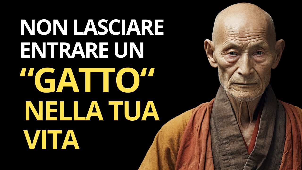 gatto davanti alla porta significato esoterico