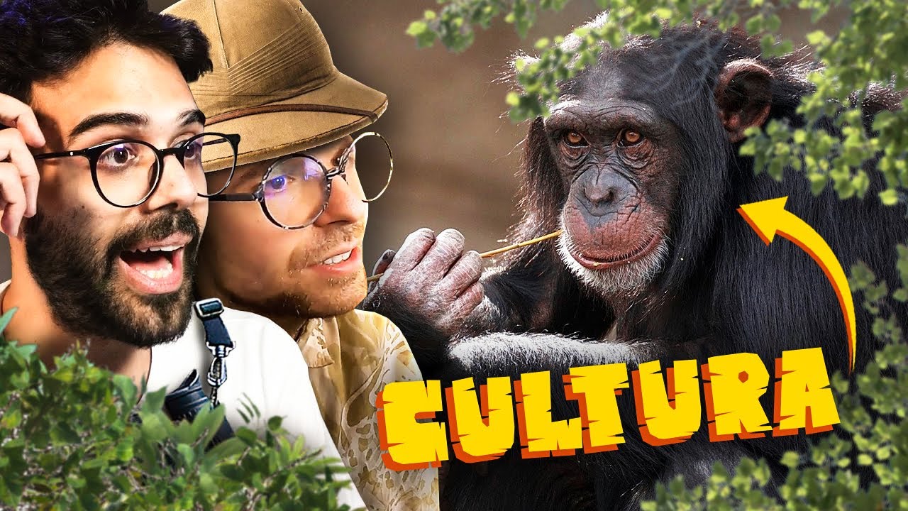 gli animali a noi piu affini