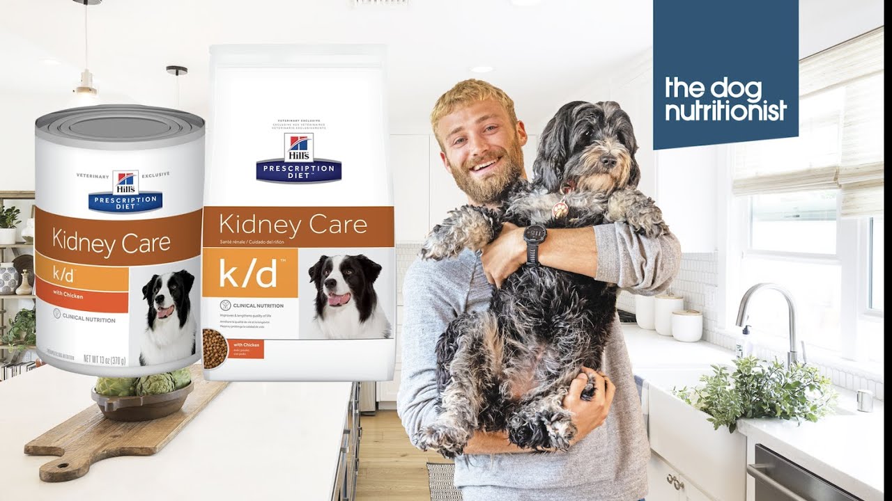 hill's digestive care i/d umido cane