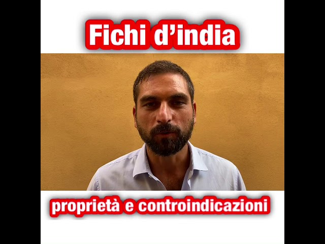 i cani possono mangiare i fichi d'india