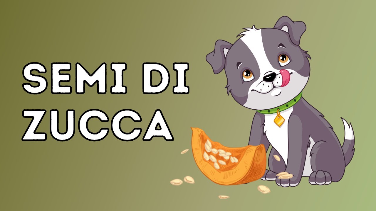 i cani possono mangiare i semi di zucca