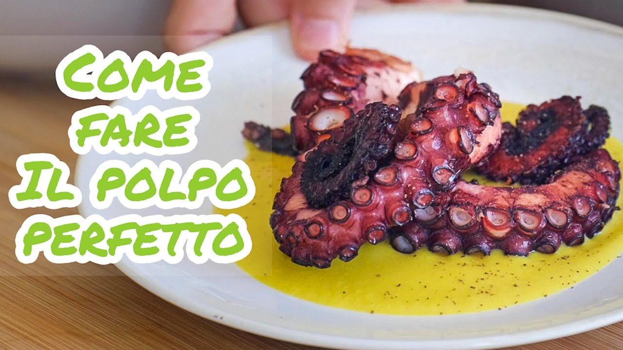 i cani possono mangiare il polpo