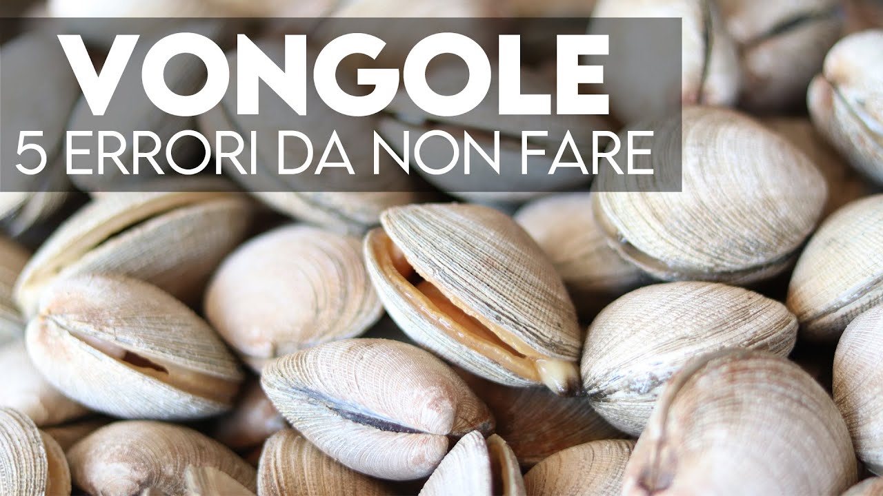 i cani possono mangiare le vongole