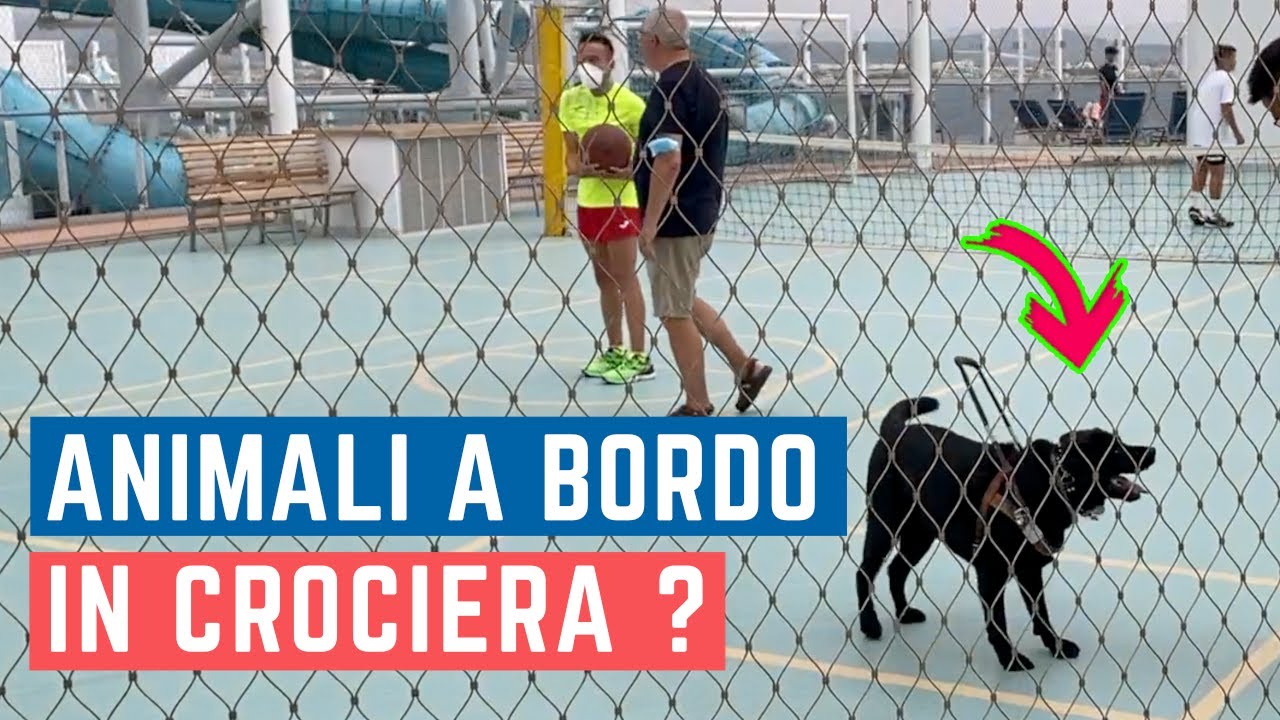 i cani sono ammessi in crociera