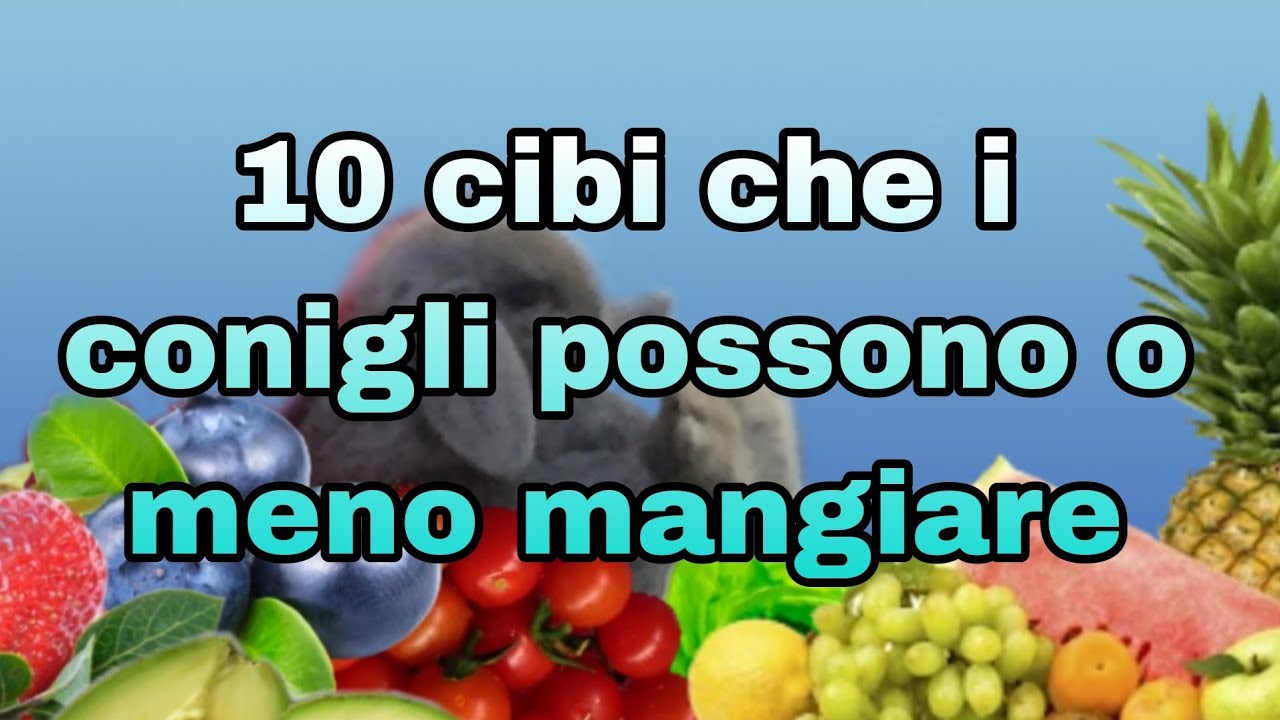 i conigli possono mangiare il prezzemolo