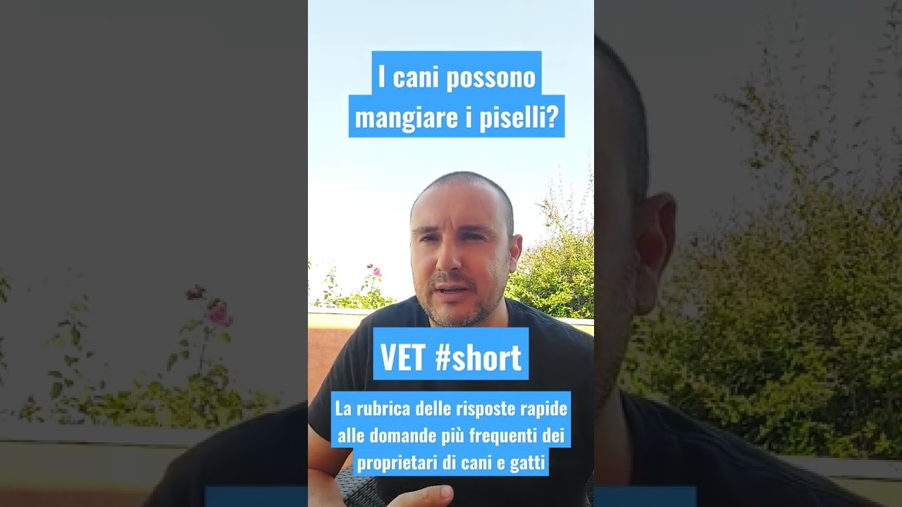 il cane puo mangiare i piselli