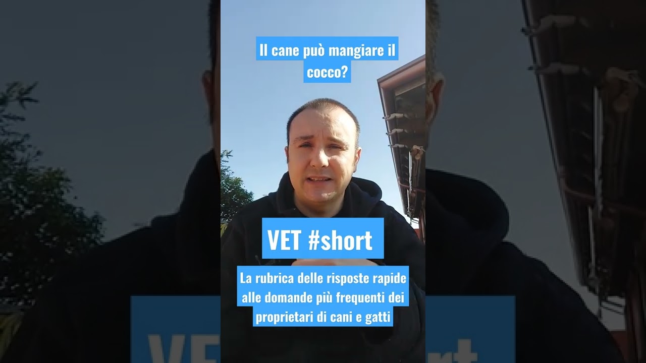 il cane puo mangiare il cocco