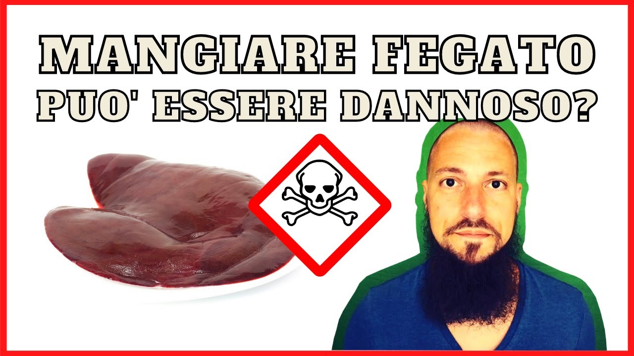il cane può mangiare il fegato