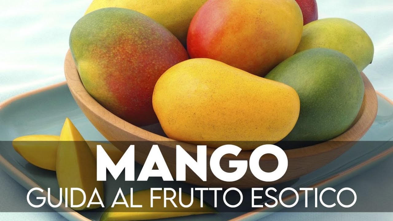 il cane può mangiare il mango