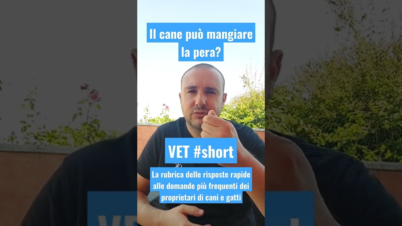 il cane può mangiare la pera