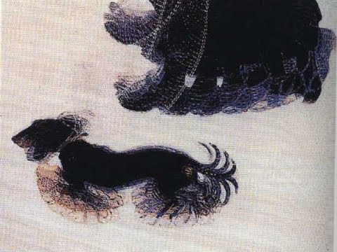 il dinamismo di un cane al guinzaglio