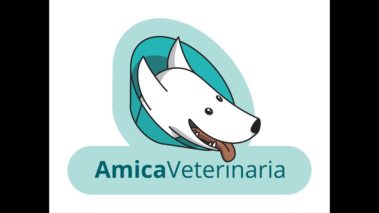 il mio cane ha la diarrea