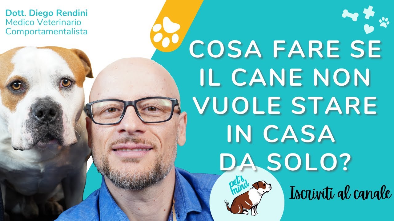 il mio cane non vuole stare a casa da solo