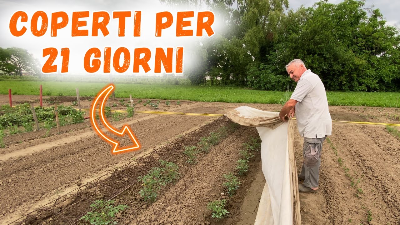 il tessuto non tessuto fa passare l'acqua