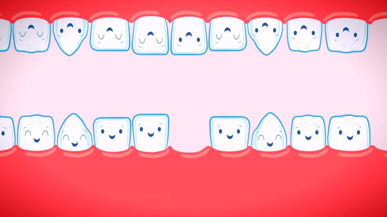 in quanto tempo cresce un dente permanente