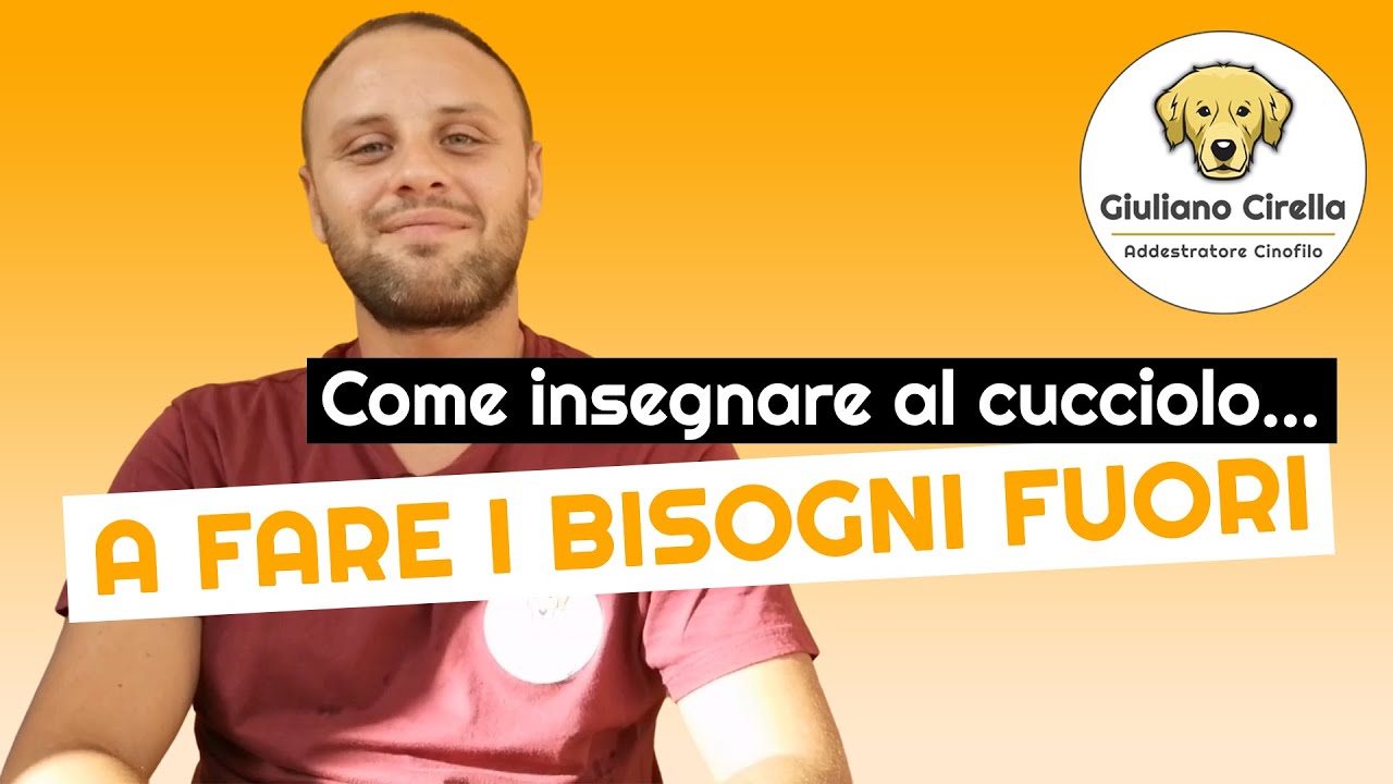 insegnare al cane a fare i bisogni fuori