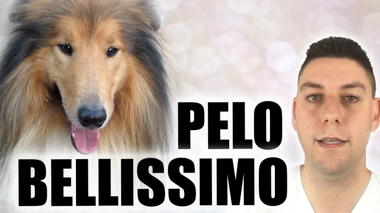 integratori per cani per il pelo