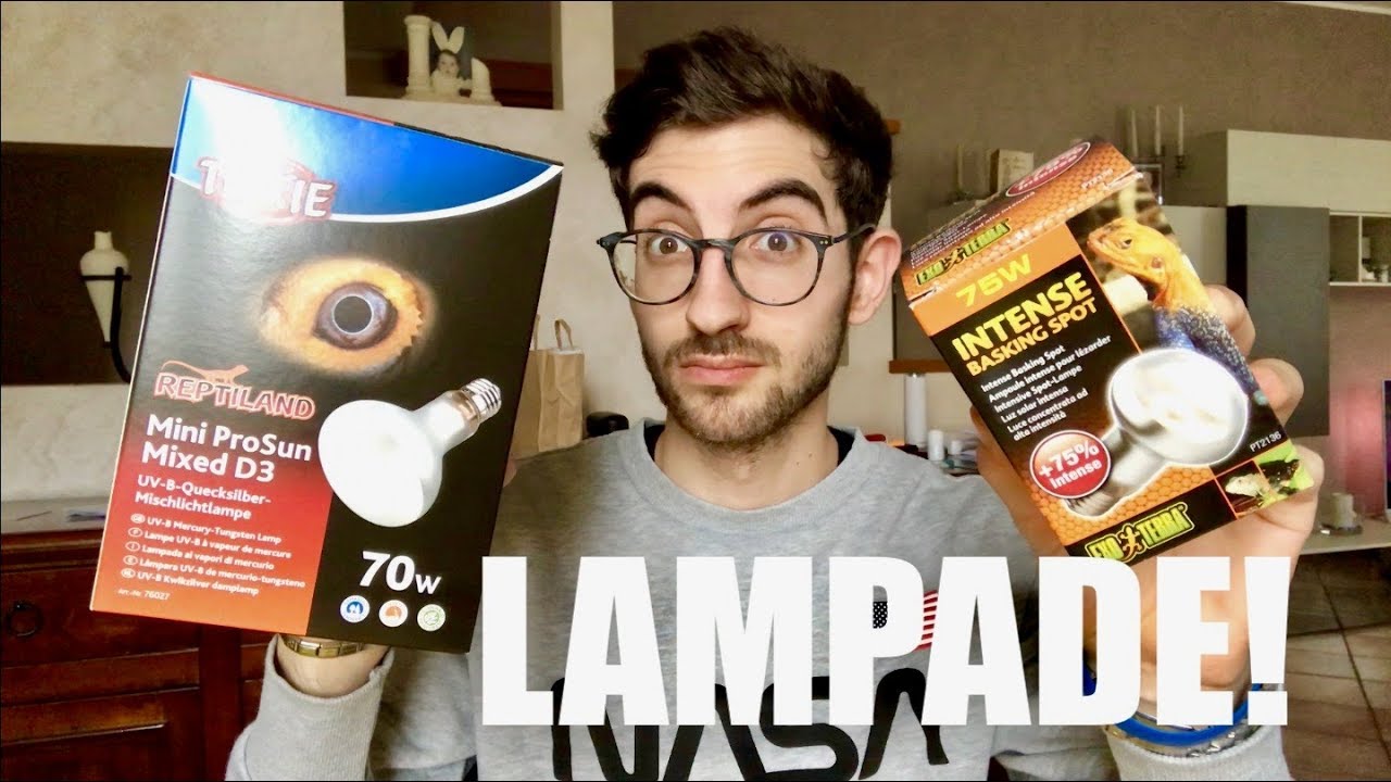 lampada riscaldante per tartarughe di terra