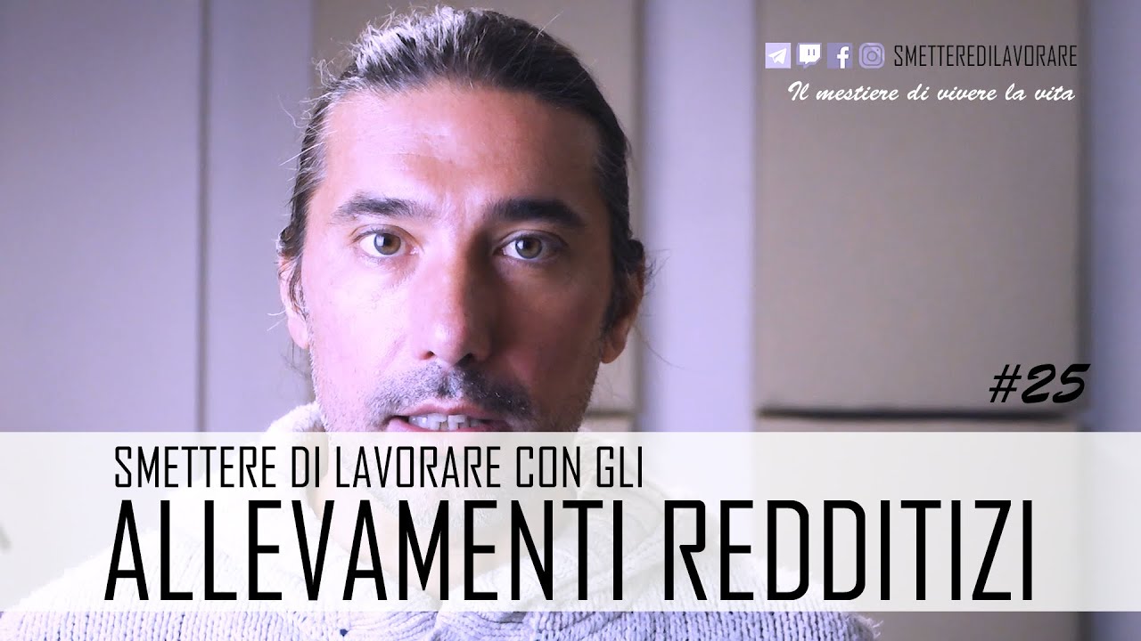 lavorare in un allevamento di cani