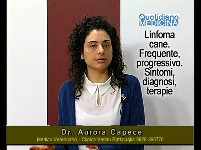 linfoma nel cane aspettativa di vita