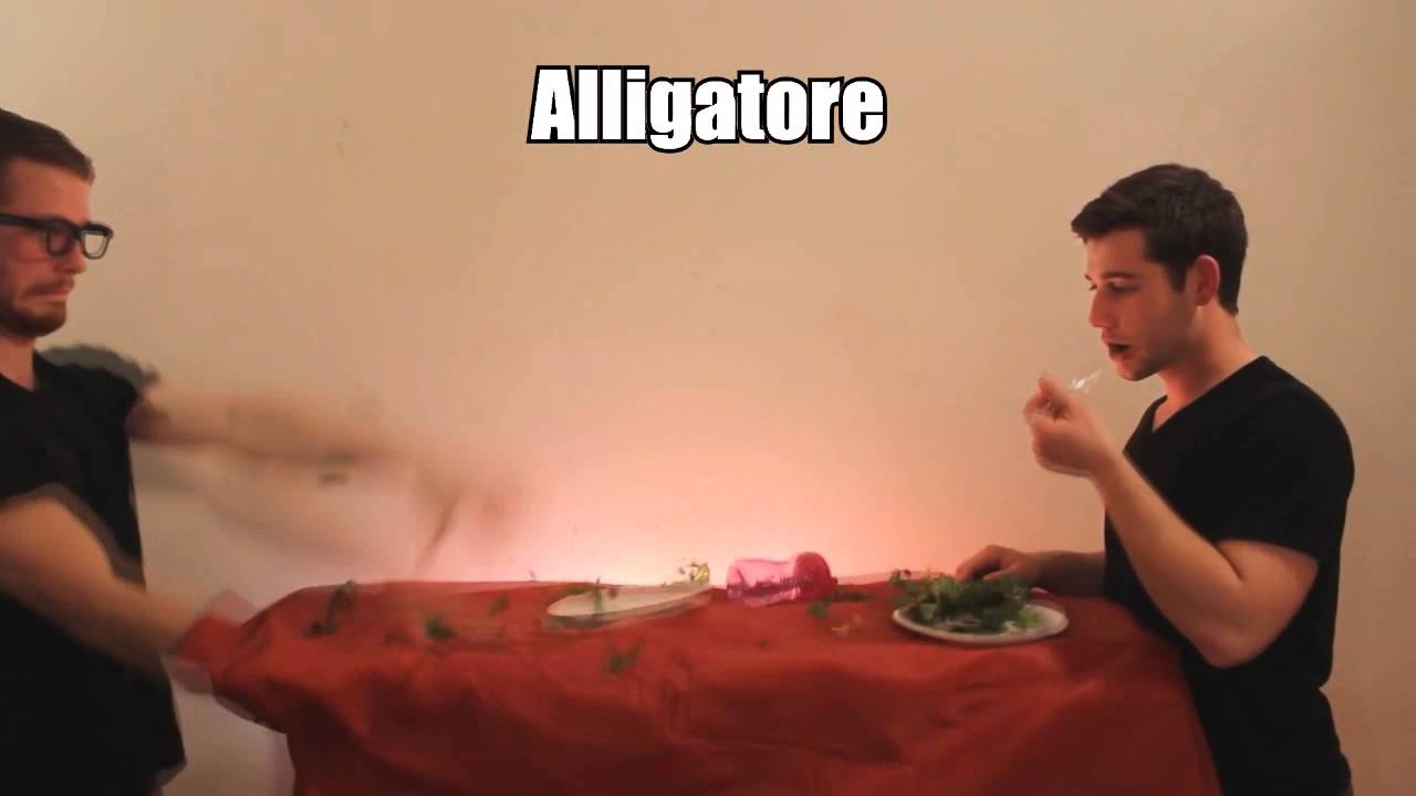 mangiano gli avanzi di altri animali