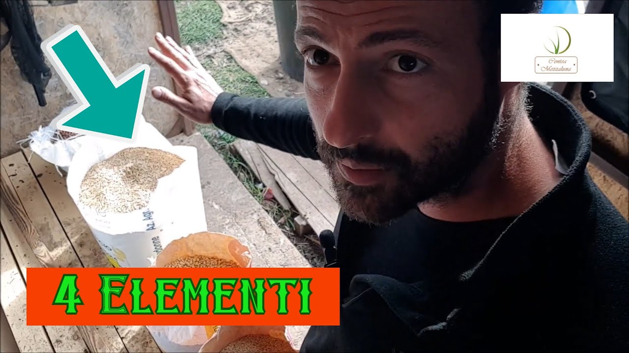 mangime per polli da carne fai da te
