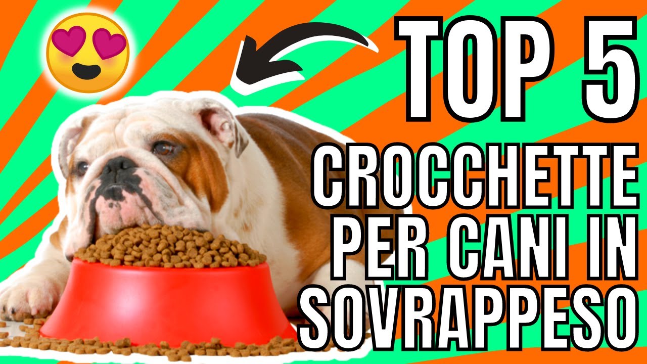 migliori crocchette per cani in sovrappeso