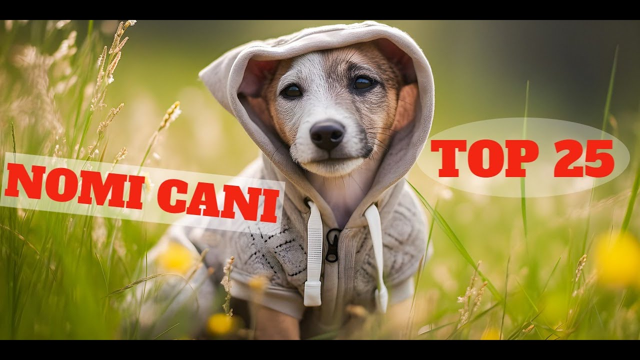nomi per un golden retriever maschio