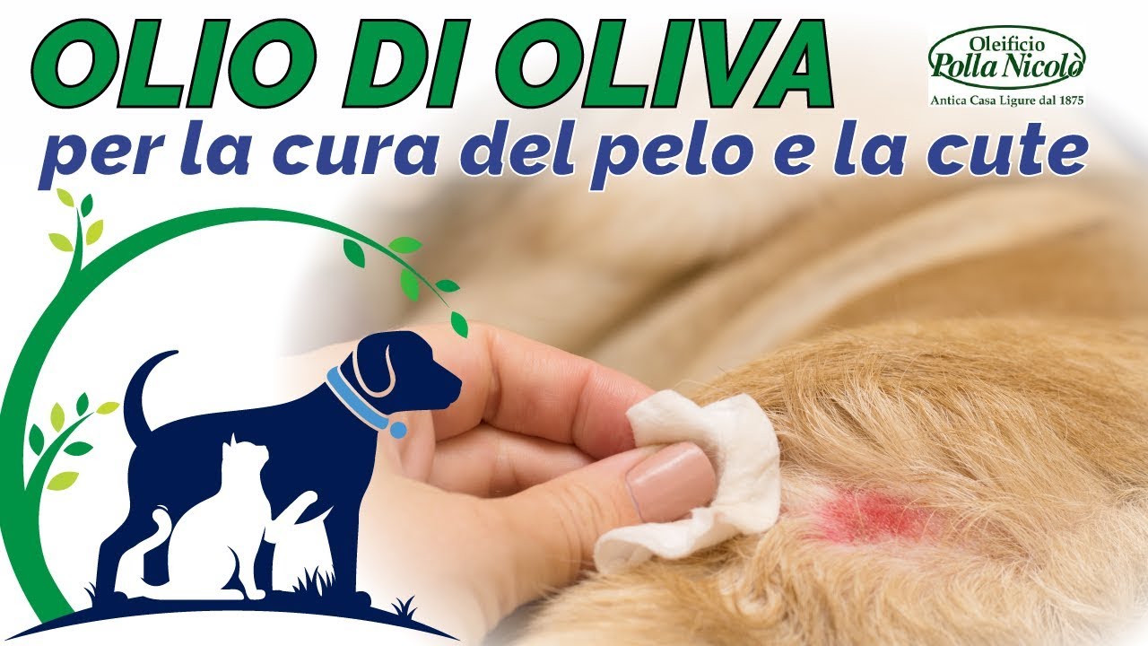 olio per lucidare il pelo del cane