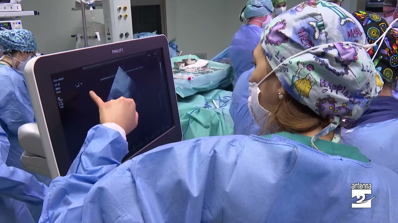 ospedale veterinario città di bergamo recensioni