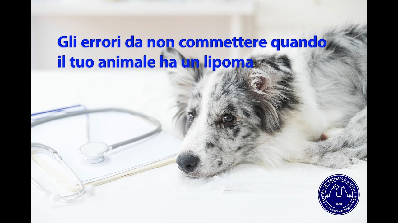 pallina che si muove sotto pelle cane