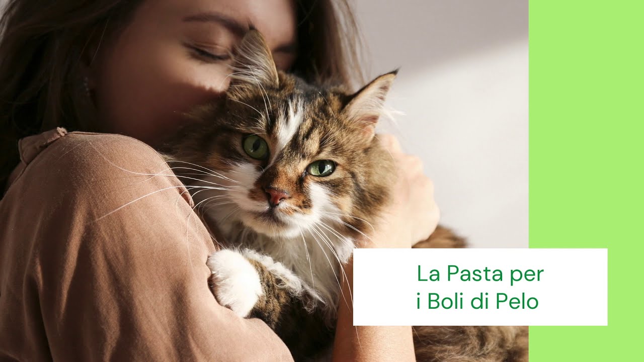 pasta per boli di pelo gatto
