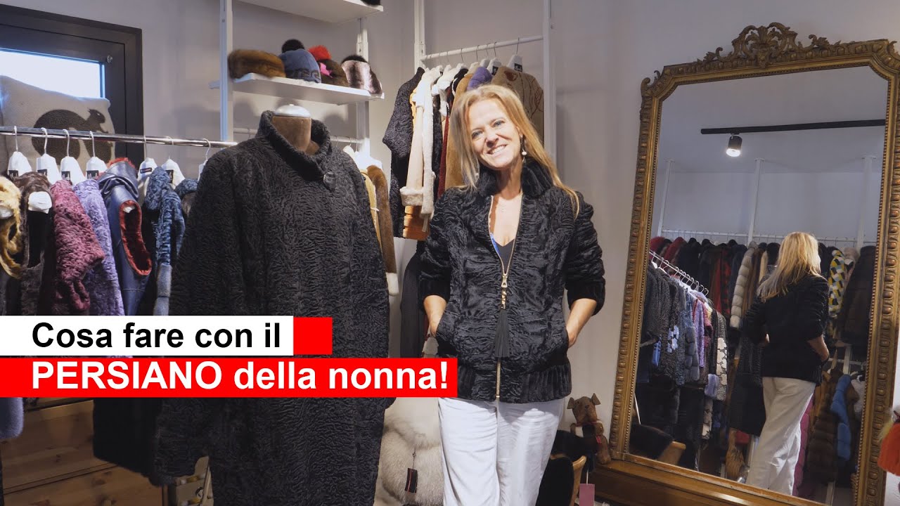 pelliccia di persiano che animale è