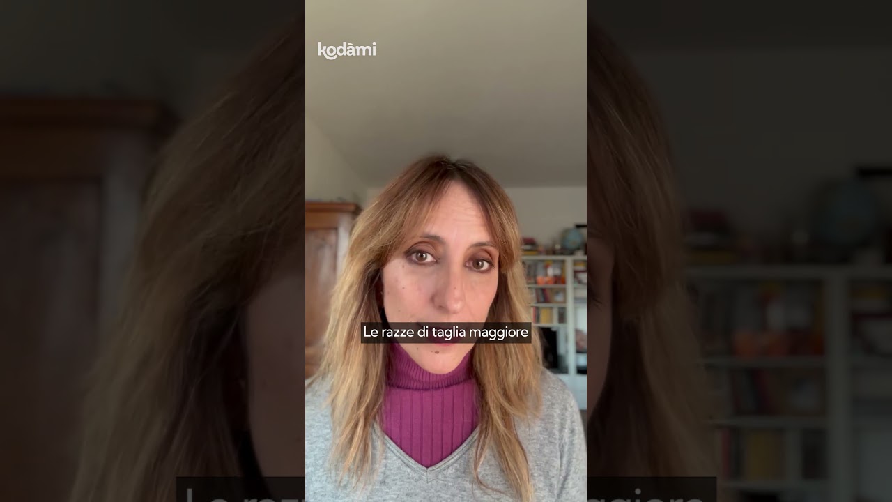 perché i cani vivono così poco