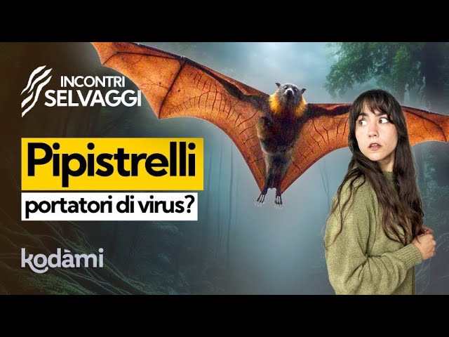 perché i pipistrelli stanno a testa in giù