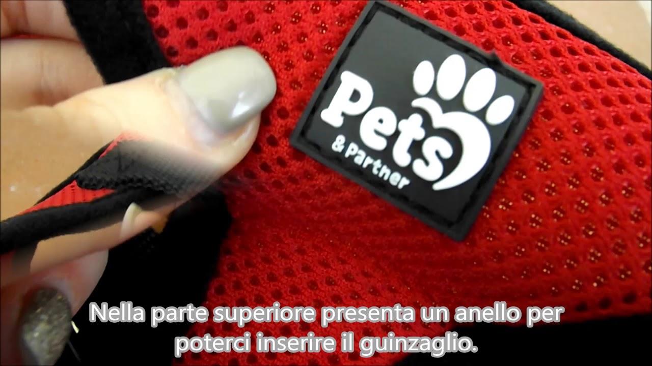 pettorina per cani di piccola taglia