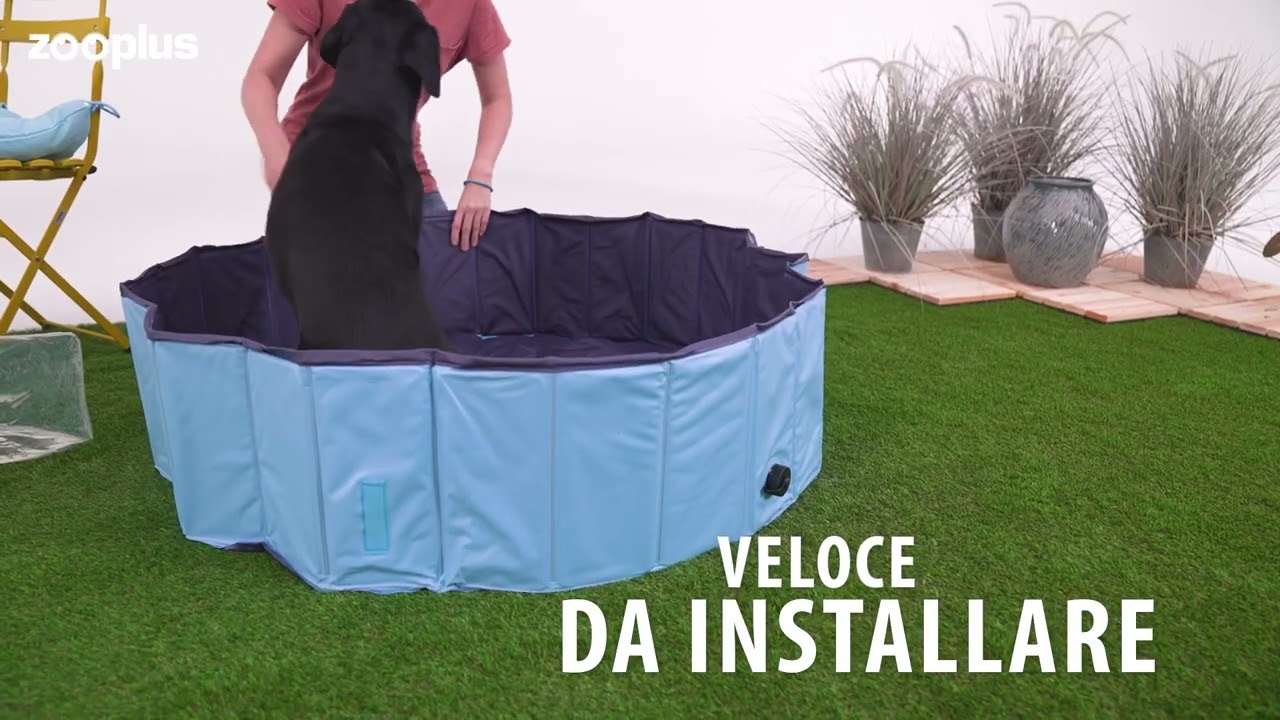 piscine per cani vicino a me