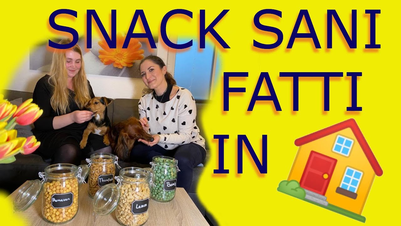 premietti per cani fatti in casa