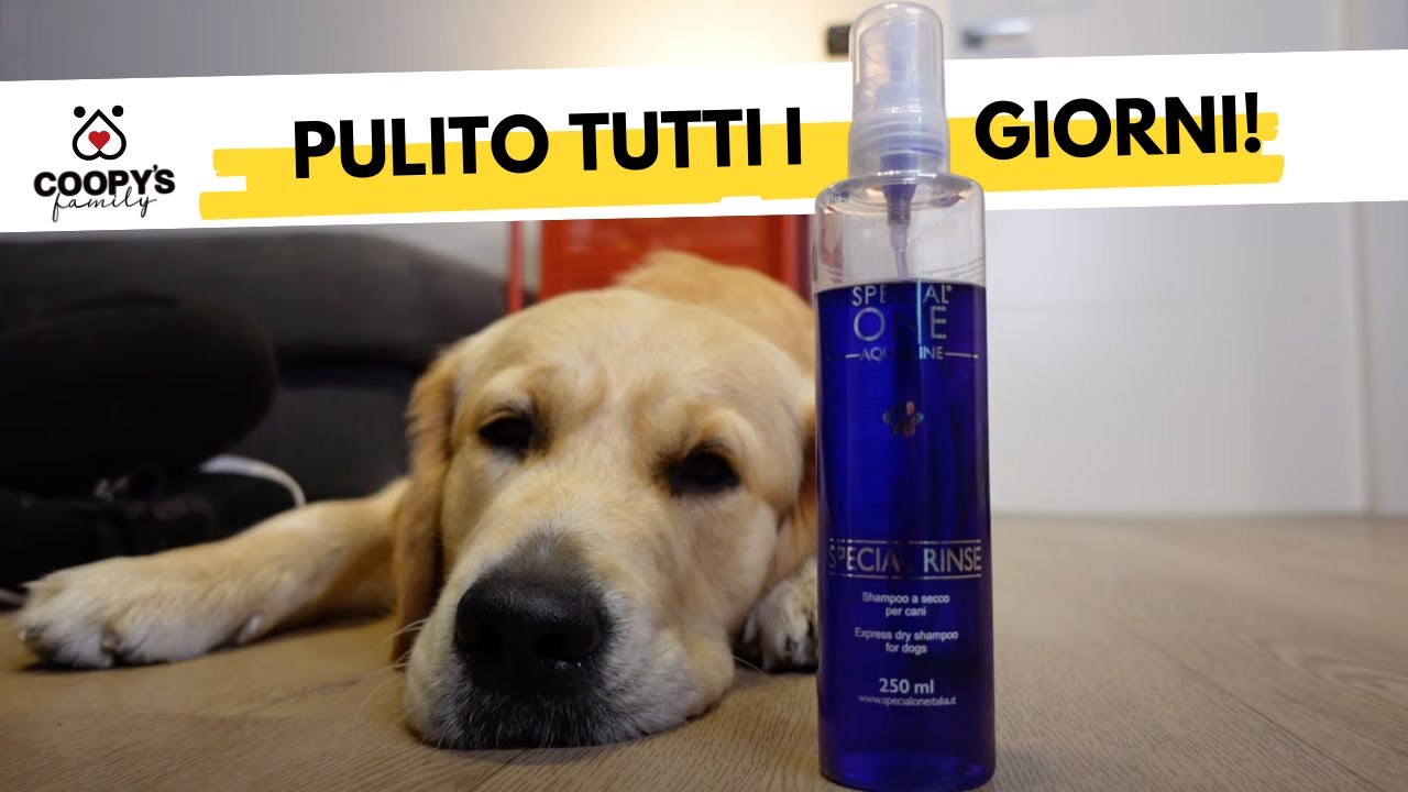 prodotti per la pulizia del cane