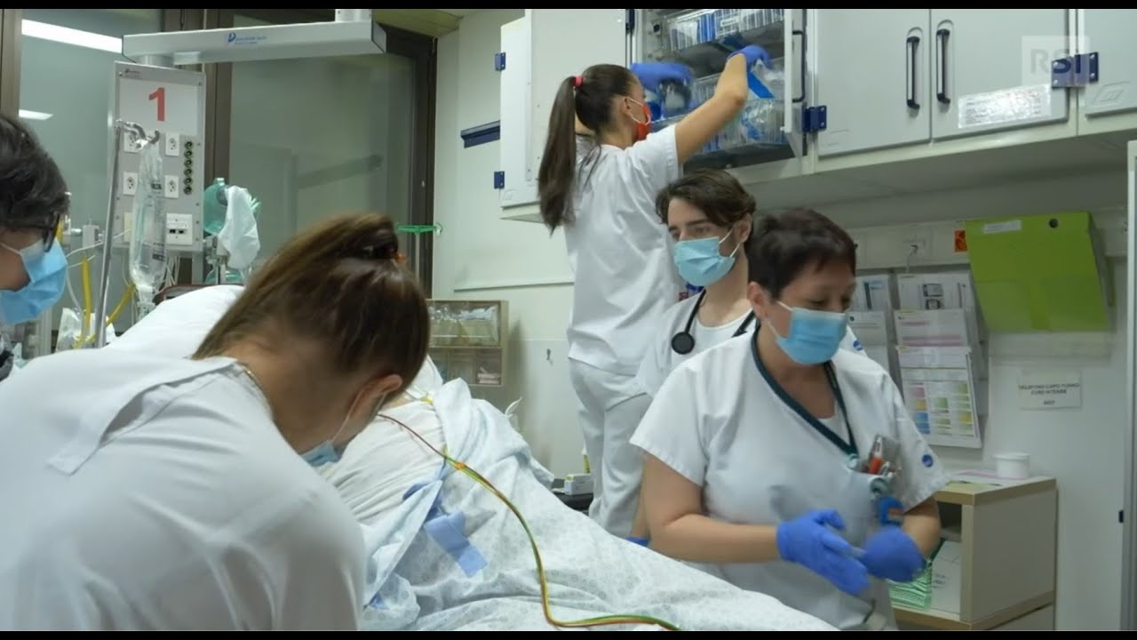pronto soccorso veterinario torino 24 ore