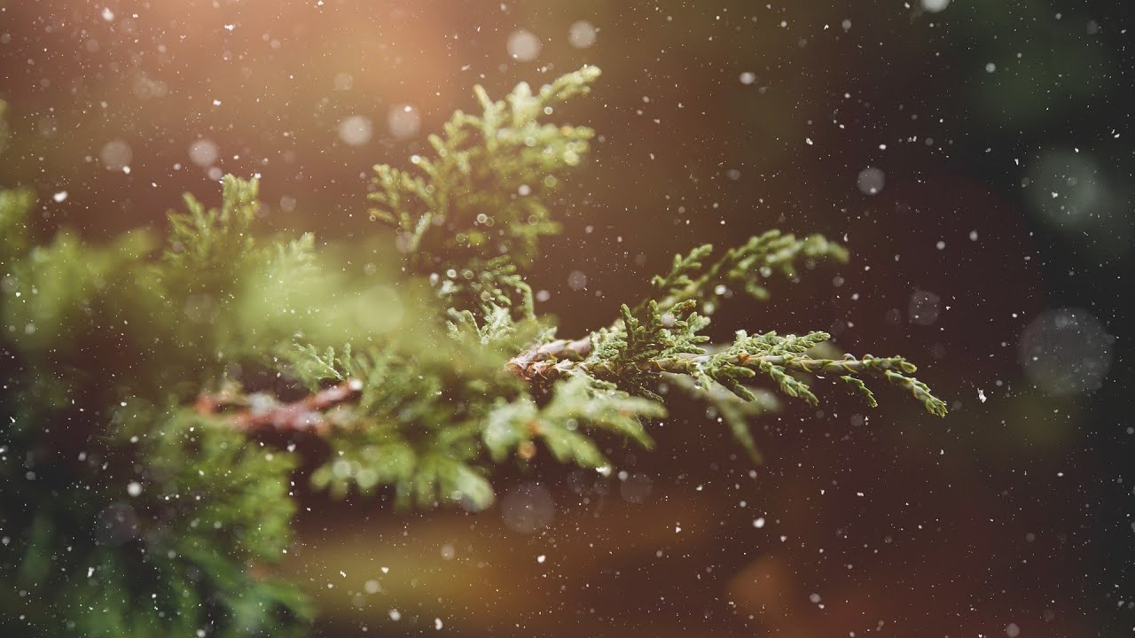 quali rumori si sentono in inverno