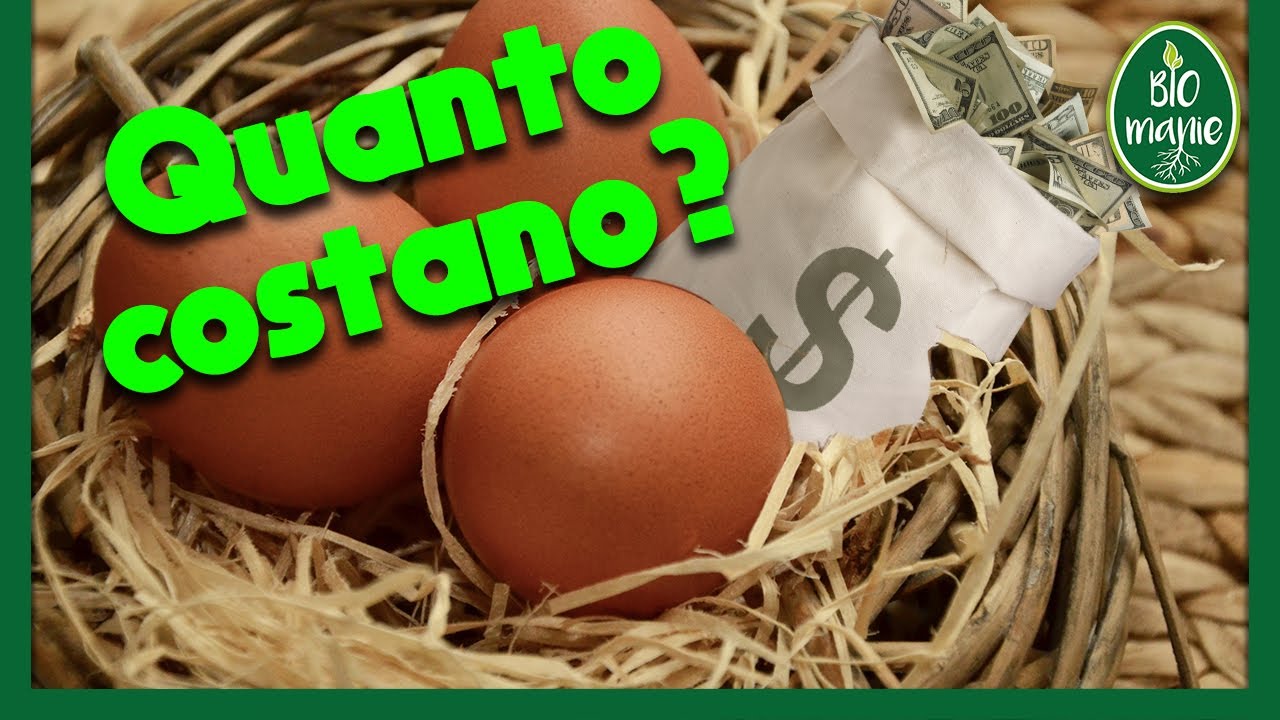 quanto costa un uovo di gallina