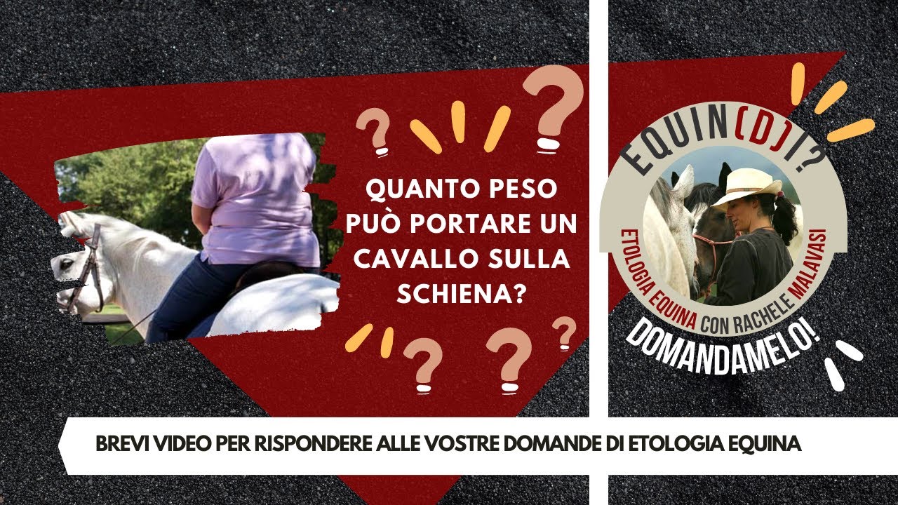 quanto pesa in media un cavallo