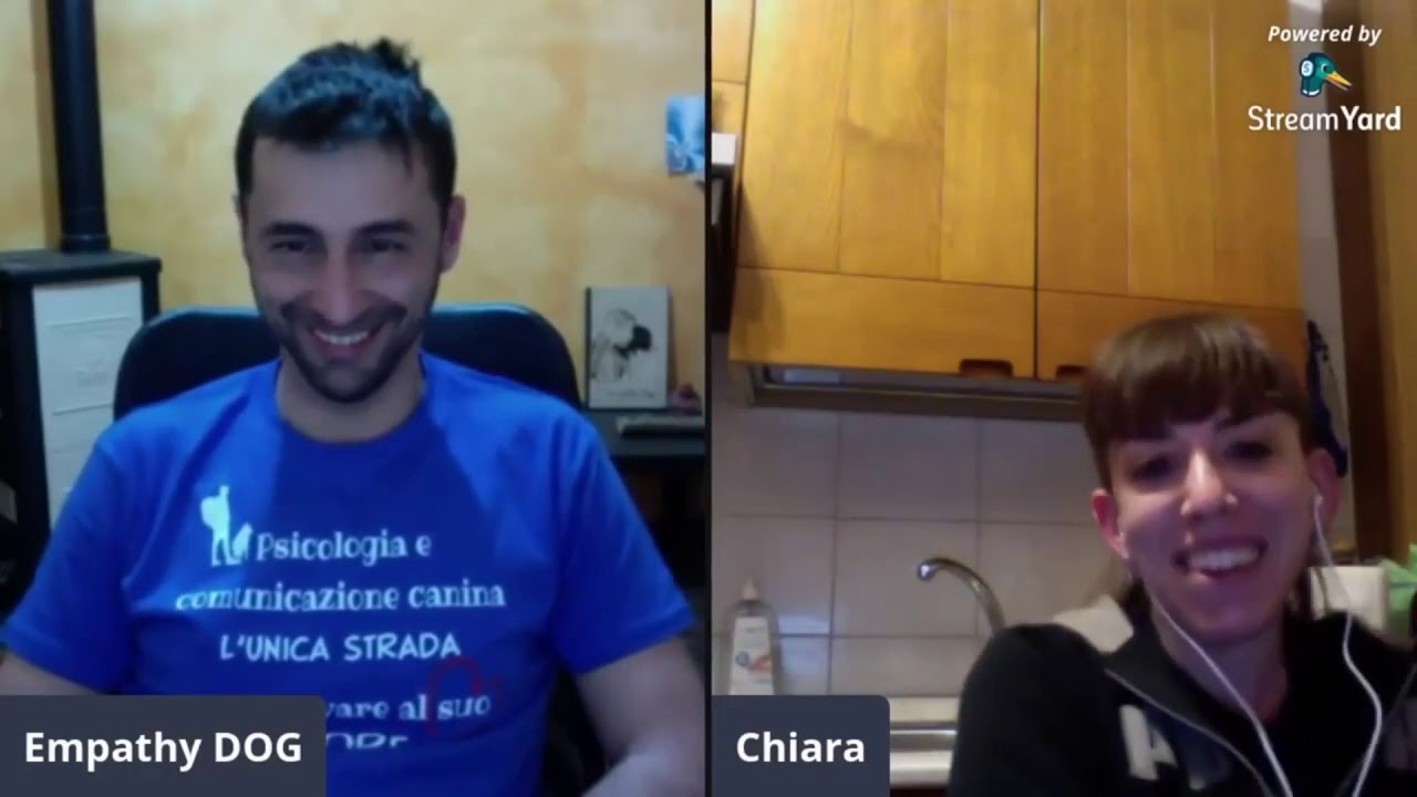 quanto può stare un cane senza mangiare