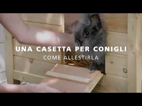 recinto per conigli fatto in casa