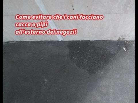 repellente per non far fare la pipì ai cani