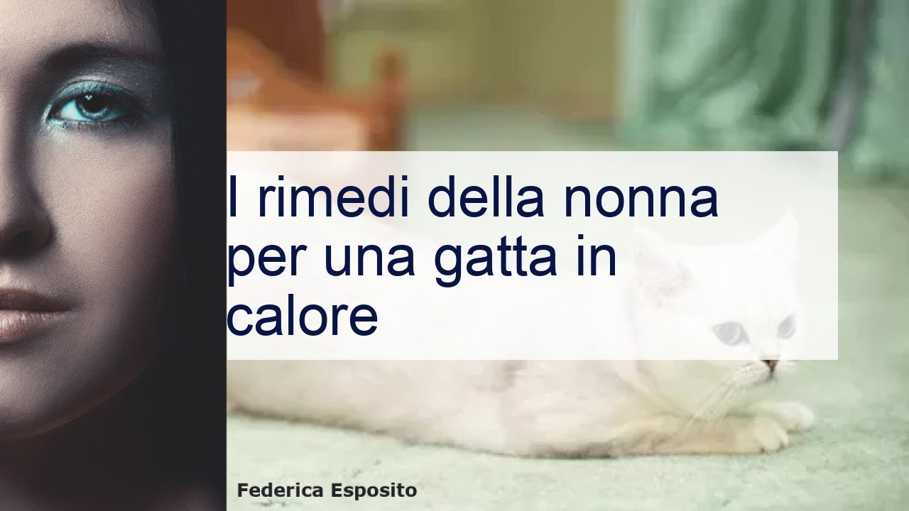 rimedi della:nonna per gatta in calore